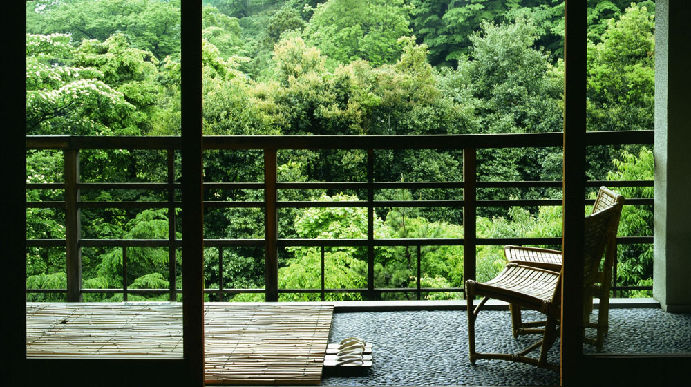 GTI 四季美學遊．香藝坐漁莊 夢君花壇下．箱根伊豆隱六日