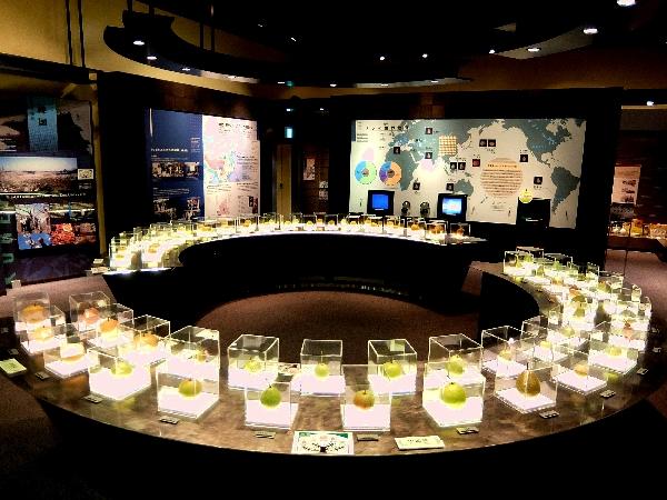 湯村－78km－鳥取－88km－大根島－64km－出雲 Day 03 － 02